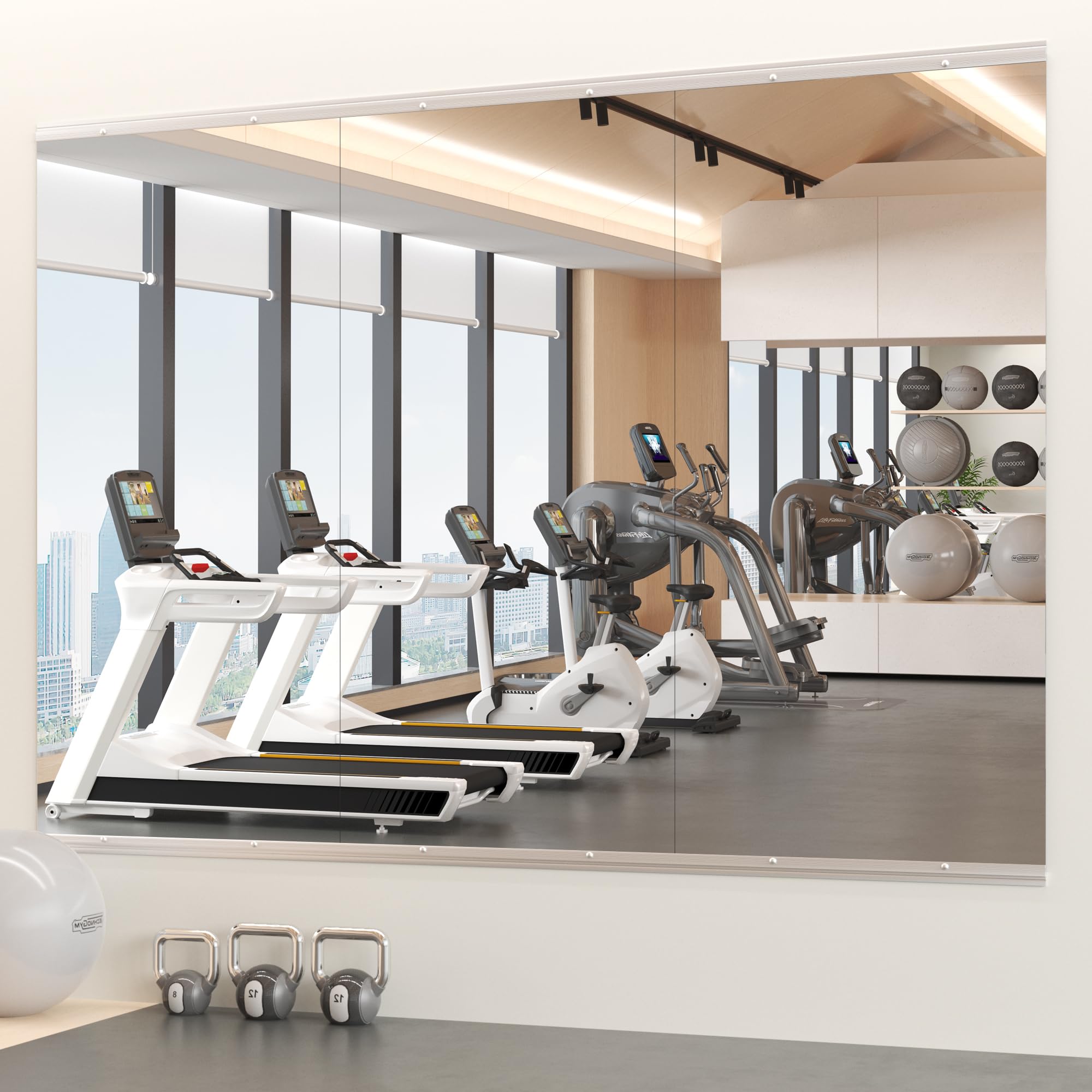 Snowdool Home Gym Mirror, 48
