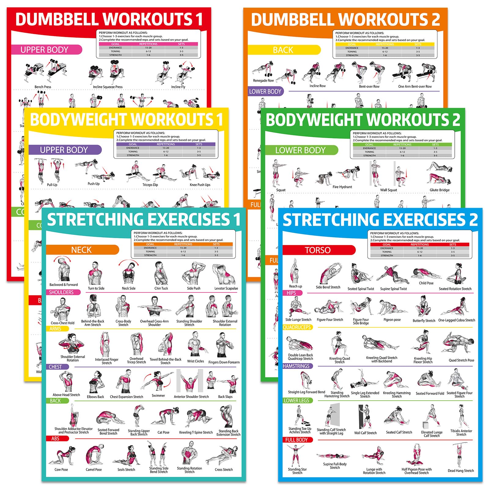 gisgfim 6PCS Workout Posters for Home Gym Dumbbell Bodyweight Stretching Workout Exercise Chart